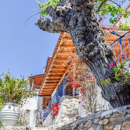 Vakantiehuis Sea Frame Skiathos-stad